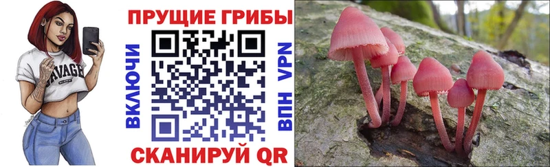 Псилоцибиновые грибы MAGIC MUSHROOMS  как найти   Облучье 